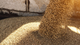 В июле РФ может экспортировать 3,7 миллиона тонн пшеницы – «Русагротранс»